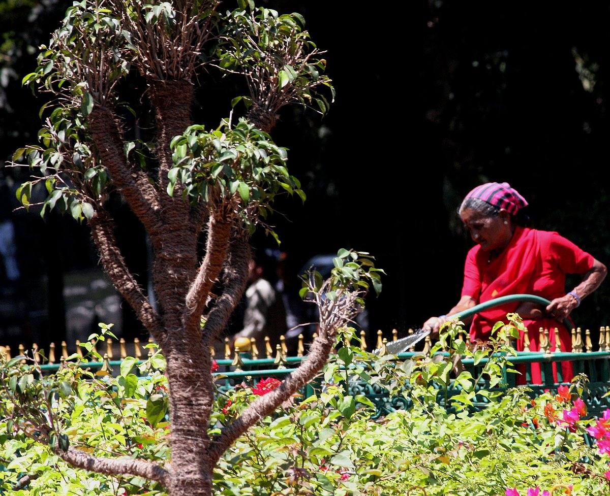 The New Indian Express - Other - News Image