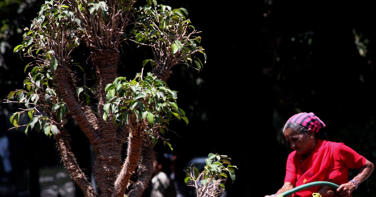 The New Indian Express - Other - News Image