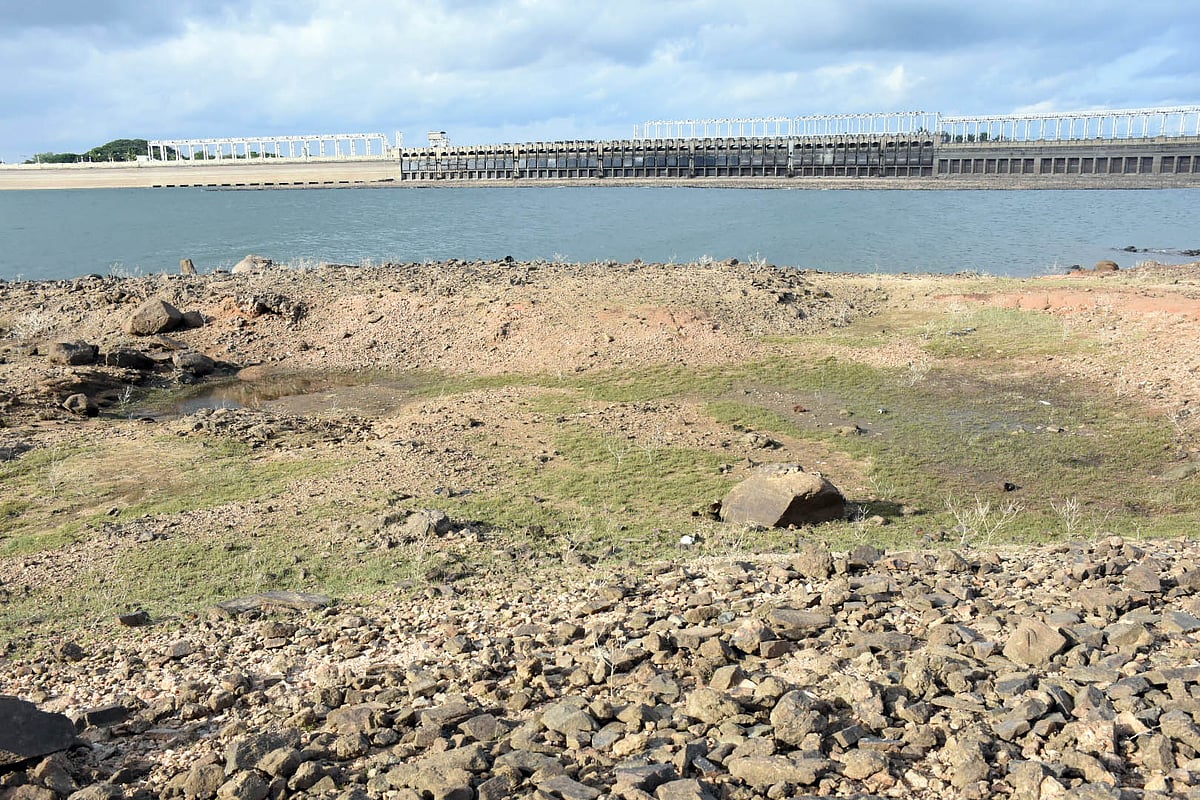 The New Indian Express - Other - News Image