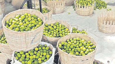 Representative image