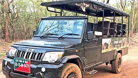 Representative Image 