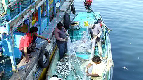 Fishermen sort their catch and roll in nets after returning from a day's voyage at the Visakhapatnam Fishing Harbour on Wednesday.
