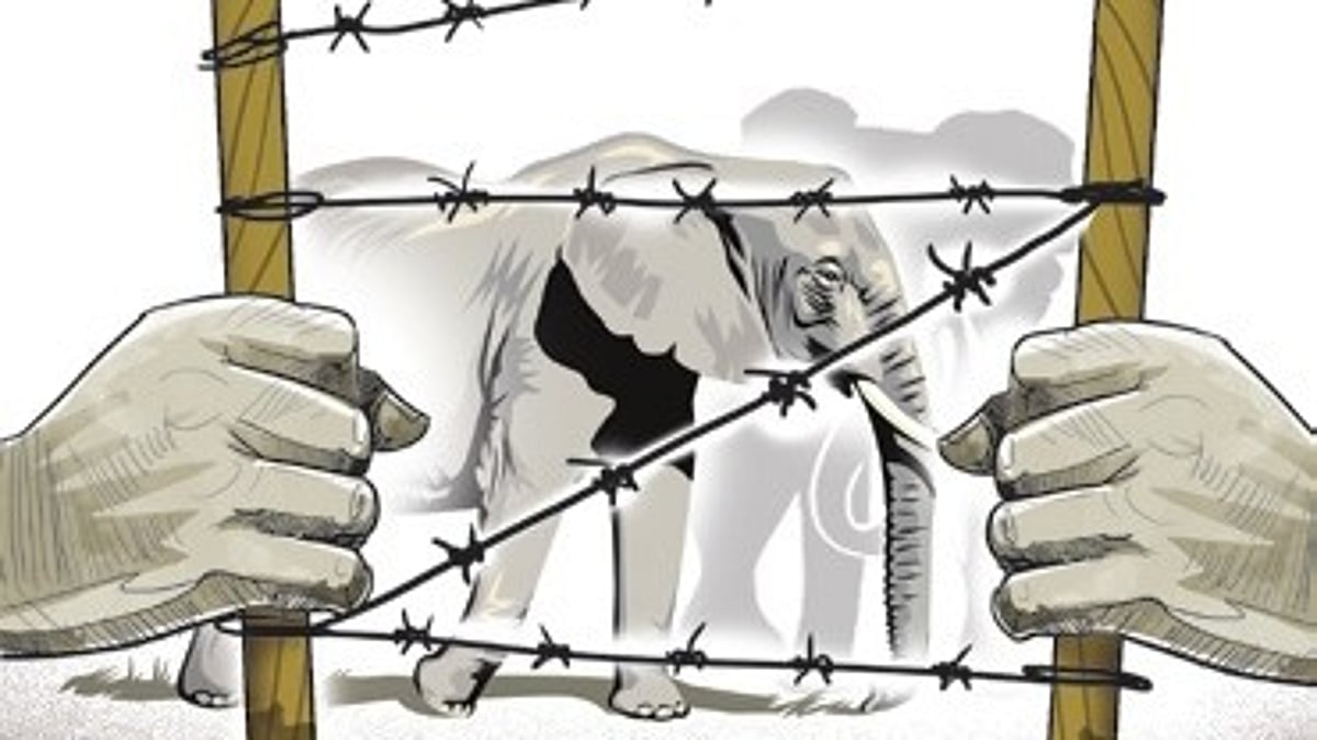 The New Indian Express - Politics - News Image