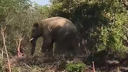 Image used for representative purpose.