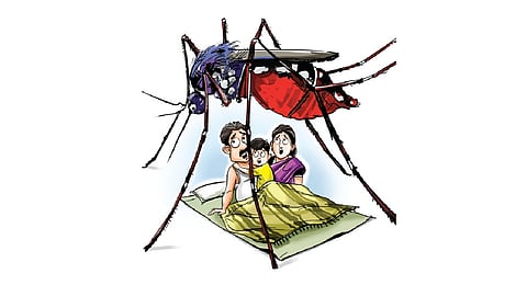 Justice NV Shravan Kumar was hearing a writ petition filed by D Keerthi Kiran, a resident of Saraswathi Nagar Colony, Saidabad.