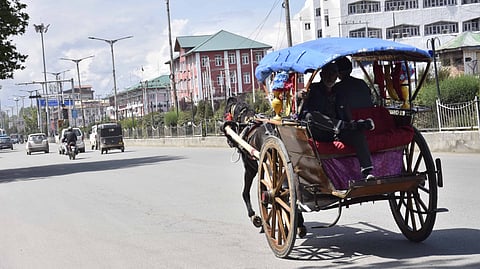 The traditional horse-drawn carriage, known as a tanga, has returned to the city, bringing back memories of an earlier and simpler time.