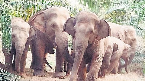 Image used for representative purpose.