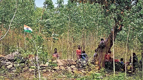 Villagers stand guard in the forest on Sijimali hill on Sunday.