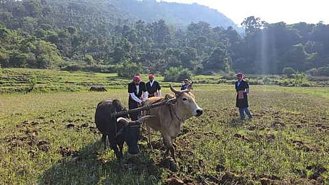 The move is expected to improve the livelihood of farmers. 