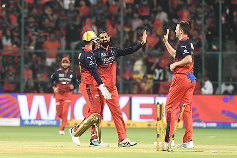 Josh Hazlewood celebrates a wicket with teammates