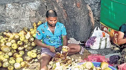 With temperatures soaring, farmers and seasonal vendors in Pulla, Denduluru, Jangareddygudem, Kaikaluru, Nuzvid and along the Eluru-Vijayawada highway have turned to this traditional trade as an alternative livelihood.