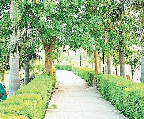 MCD revives scheme to fund RWAs for hiring gardeners to maintain Delhi parks