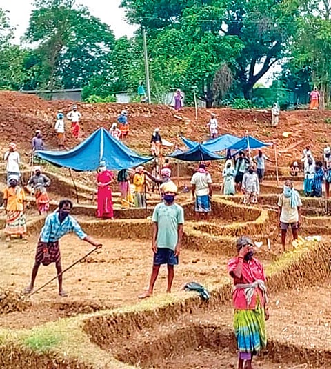 District-wise data shows that all 26 districts reported a decline in person-days, with the steepest reductions in NTR district (-46.5 per cent), Chittoor (-38.5 per cent) and Annamayya (-30.9 per cent).