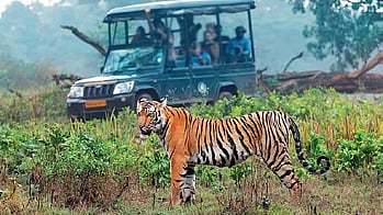 Of the 92.5-km stretch between Mysuru and Bavali, 63.6 km is outside the NTR and 28.9 km is inside it.