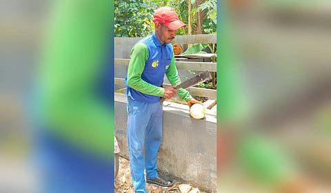 Coconut plucker Shiva Narayan Marawi, a Chhattisgarh native, at work.