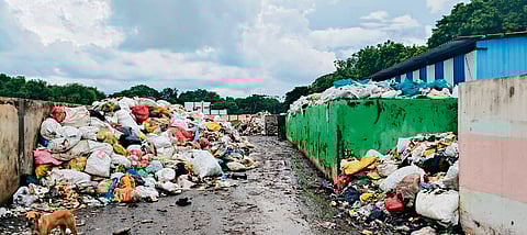 Across several parts of the town, open dumping of garbage has become a common sight.
