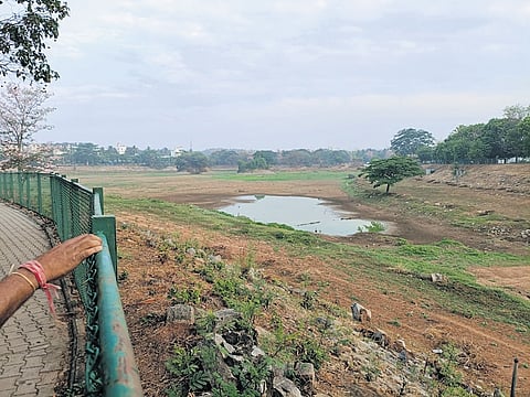 The 29-acre Ullal Lake in West City Corporation is almost dry.
