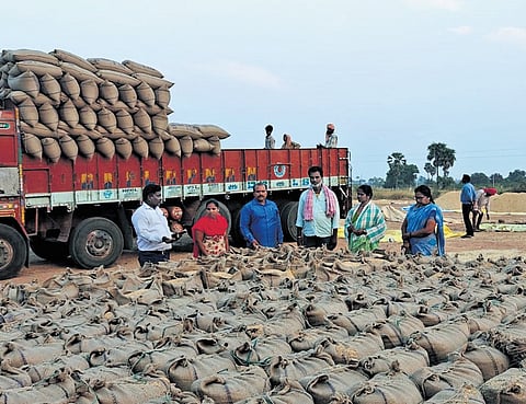 Workers load paddy purchased from farmers into a lorry at Tippalammagudem village in Nalgonda district