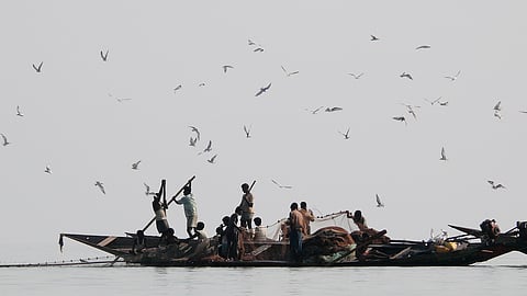 Chilika lake hosts over 350 migratory bird species in peak winter migratory season
