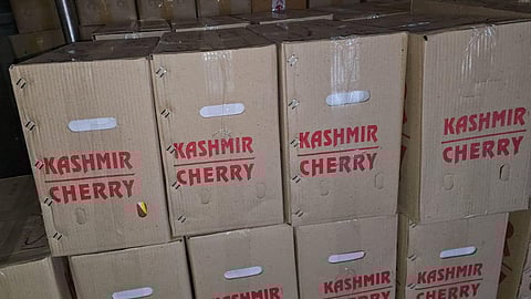 Each parcel van has a capacity of 23 tonnes.