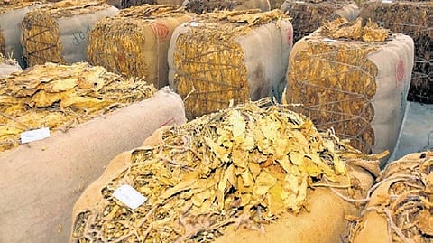 Officials said an increase in GST on tobacco products and the impact of ongoing West Asia conflict have affected the prices. 