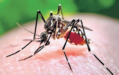 Image used for representation