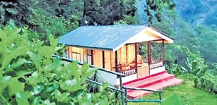 Kodagu homestay