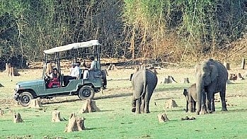 Image used for representational purposes only.