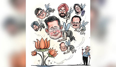 Often seen alongside the leadership, Raghav Chadha became a key part of shaping its economic messaging and policy communication. 