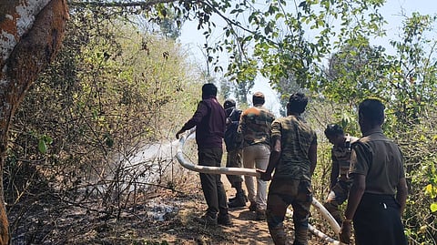 Forest staff engaged in controlling forest fire at Parson Valley in Nilgiris on Sunday.