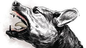 Though dog catchers located the animal on Sunday morning, it died soon after.