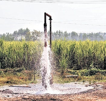 Groundwater depletion across India, high-level expert committee formed