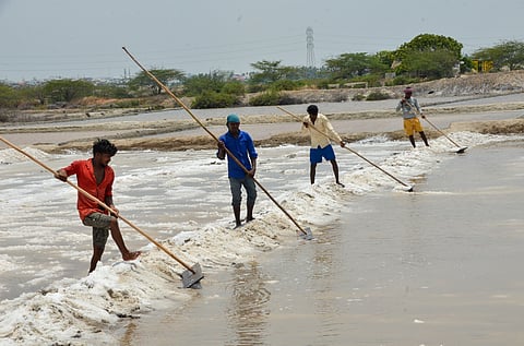 The price of Rs 1500 per tonne does not offer any profit, and merely covers input cost, producers said.