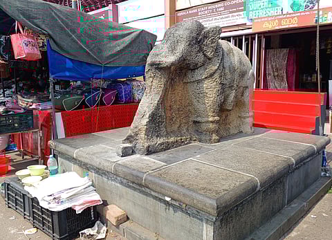 The elephantine puzzle of ‘Kallana’