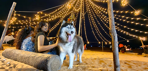 The beach has been witnessing a steady rise in footfall - during daytime and night