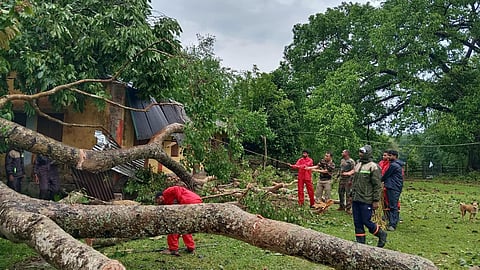 The IMD cautioned that the rains and storms might uproot trees and cause waterlogging and flooding in low-lying areas. It advised people to stay alert, follow traffic advisories, and avoid staying in vulnerable structures.