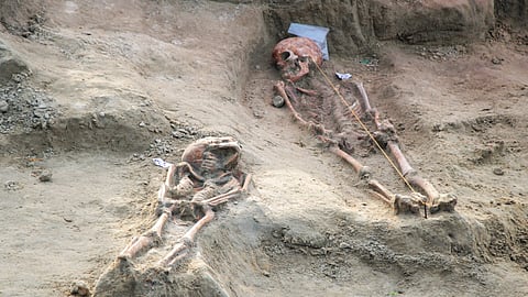 Skeletons in Chemmani mass grave in Jaffna.