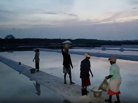 Tamil Nadu: Salt pan workers begin shift at 1 AM to escape severe heat in Thoothukudi