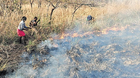 Wildfires