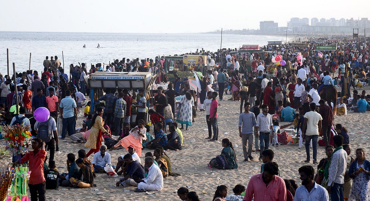 NGT seeks compliance report from Tamil Nadu to tackle Pongal waste