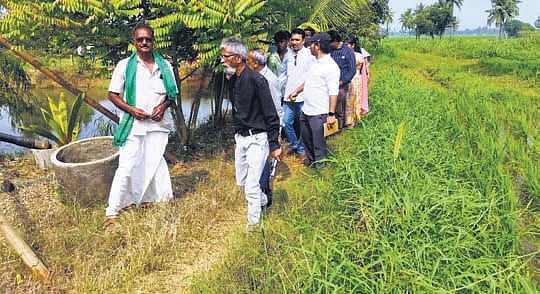 Bangla team lauds RySS’ natural farming course in Andhra