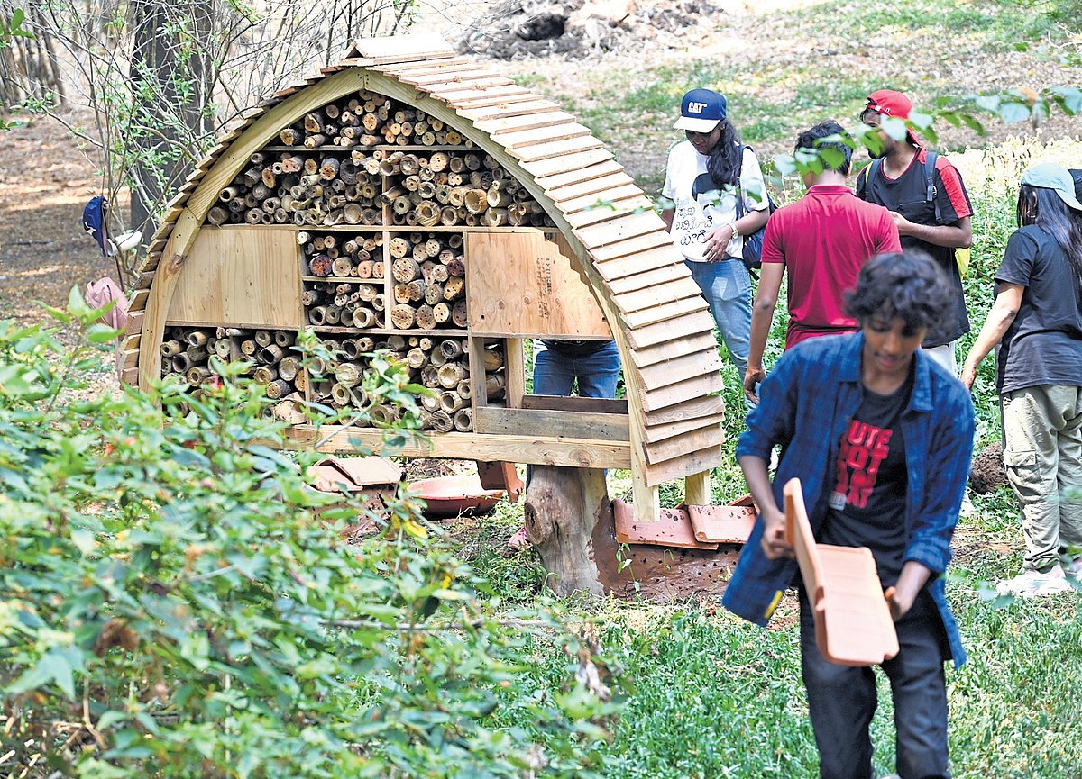 Lalbagh inaugurates insect cafes to promote conservation