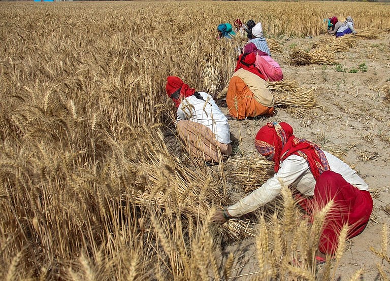 Centre aims 7-fold jump in wheat procurement from UP, Rajasthan, Bihar ...