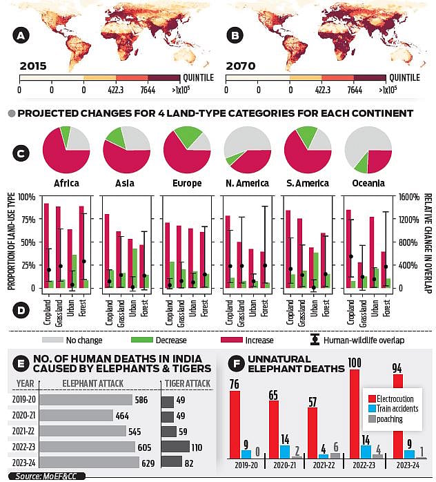 India will be global hotspot for human-wildlife conflict by 2070