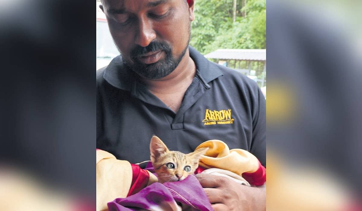 Animals in distress get helping hands in Wayanad