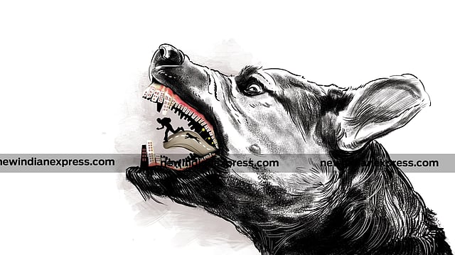 Museum dog attack sparks demand to remove strays from public institutions