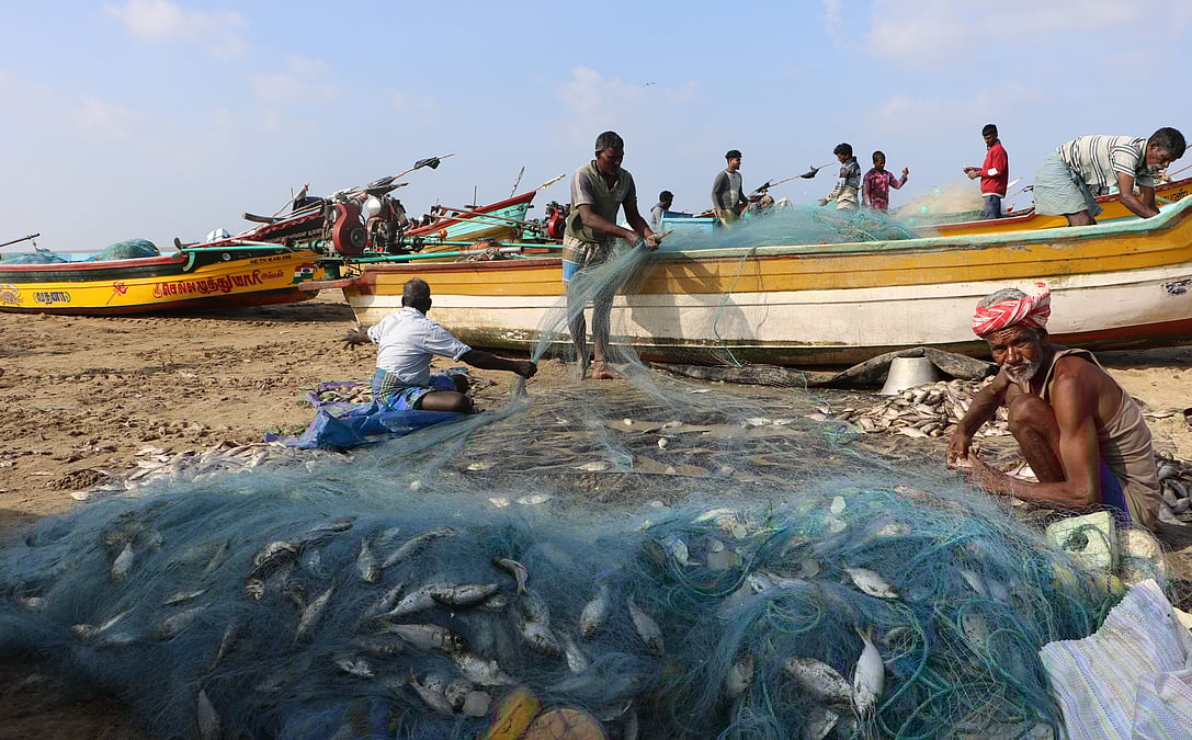 Fishing boats from other districts allowed in Kodiyakarai down to 125