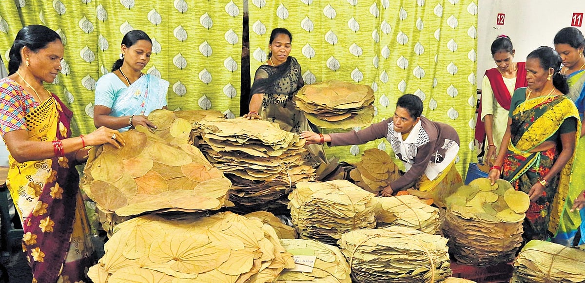 Vistarakulu tradition empowers tribal women in Andhra's Alluri ...