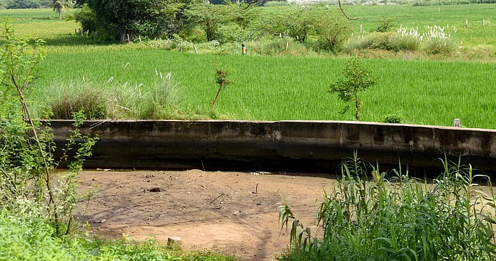 Tiruchy farmers urge release of water into Uyyakondan, Kattalai Mettu Vaickal canals to save crops