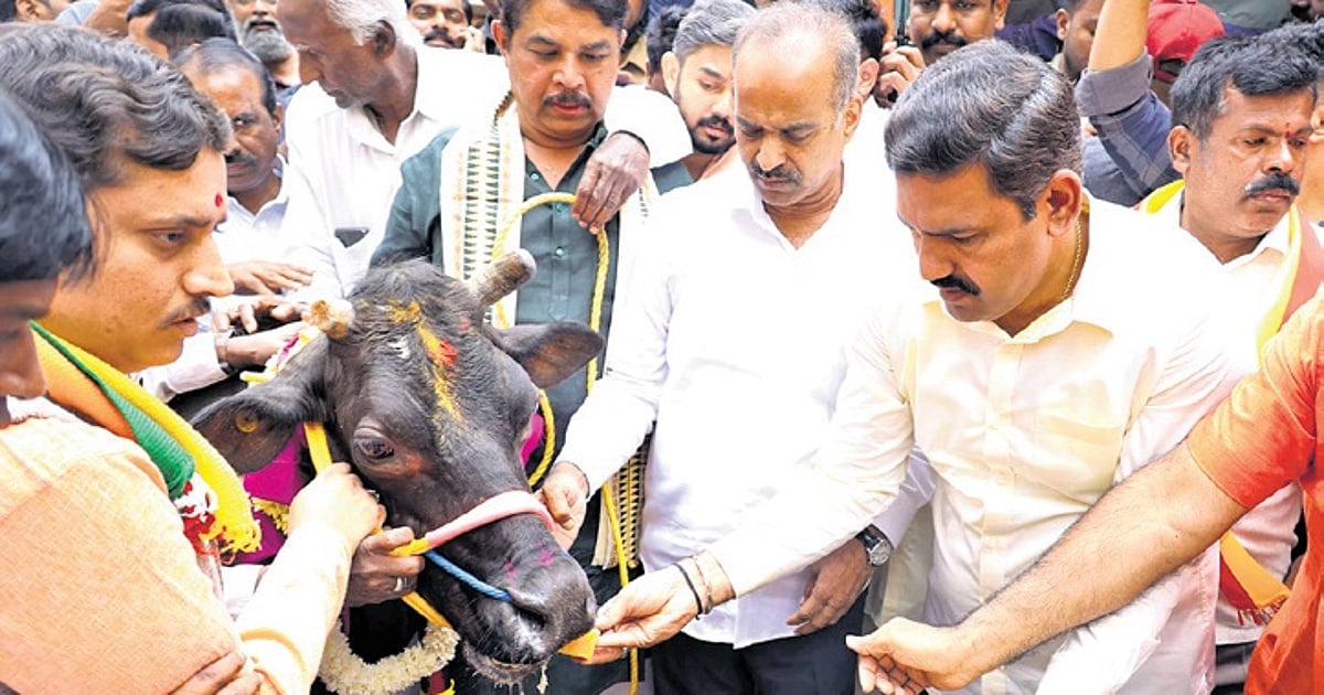 Cow Congress Position BJP slams congress for 'appeasement politics' after cow slashing ...
